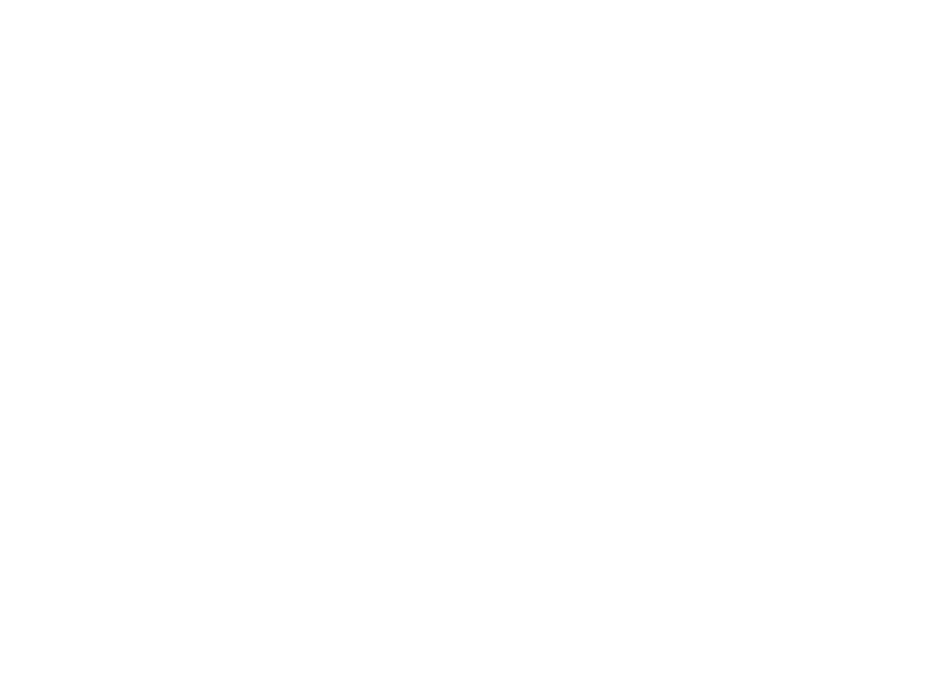 neti neti
